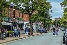 Waggle dog walking in Alderley Edge, Cheshire