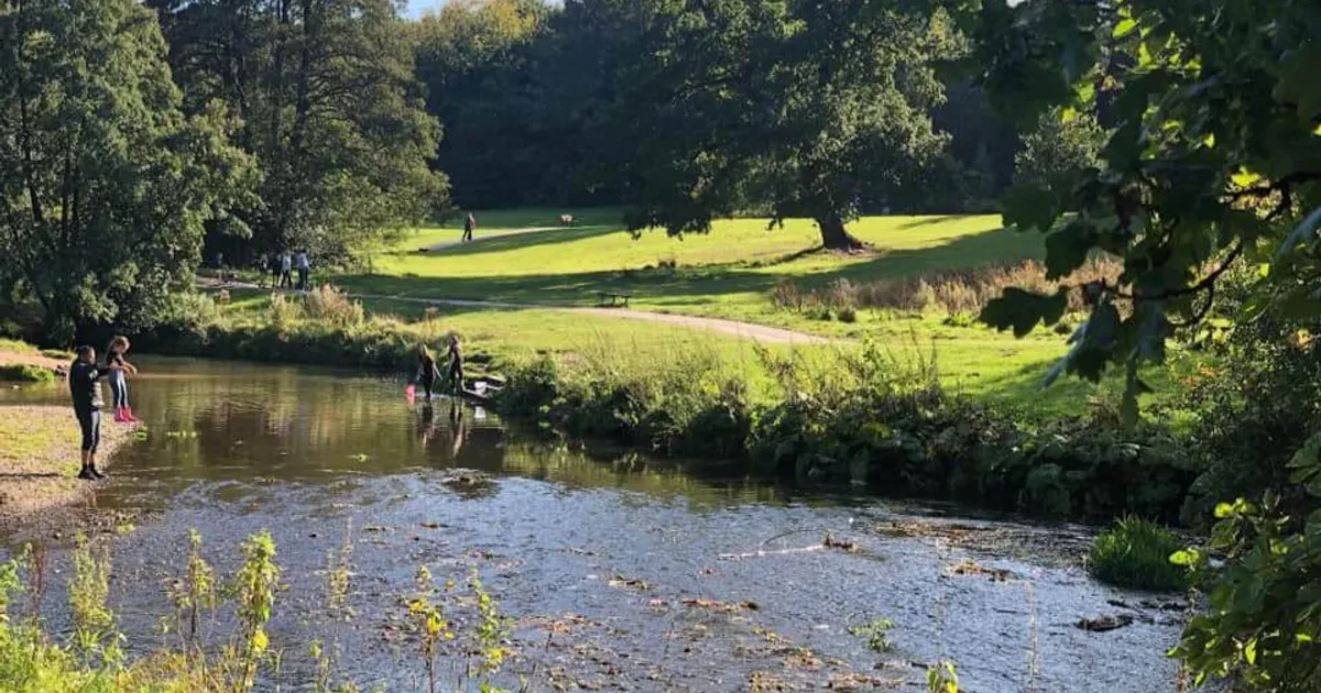 Waggle dog walking in SK9 Postcode Area, Cheshire