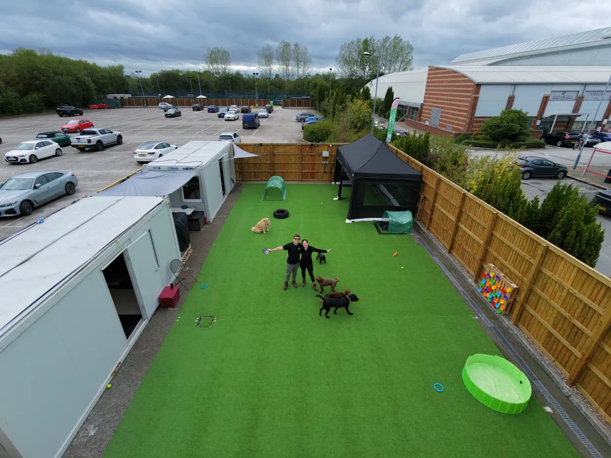 The Wagglers team with a group of dogs on the daycare lawn in Handforth