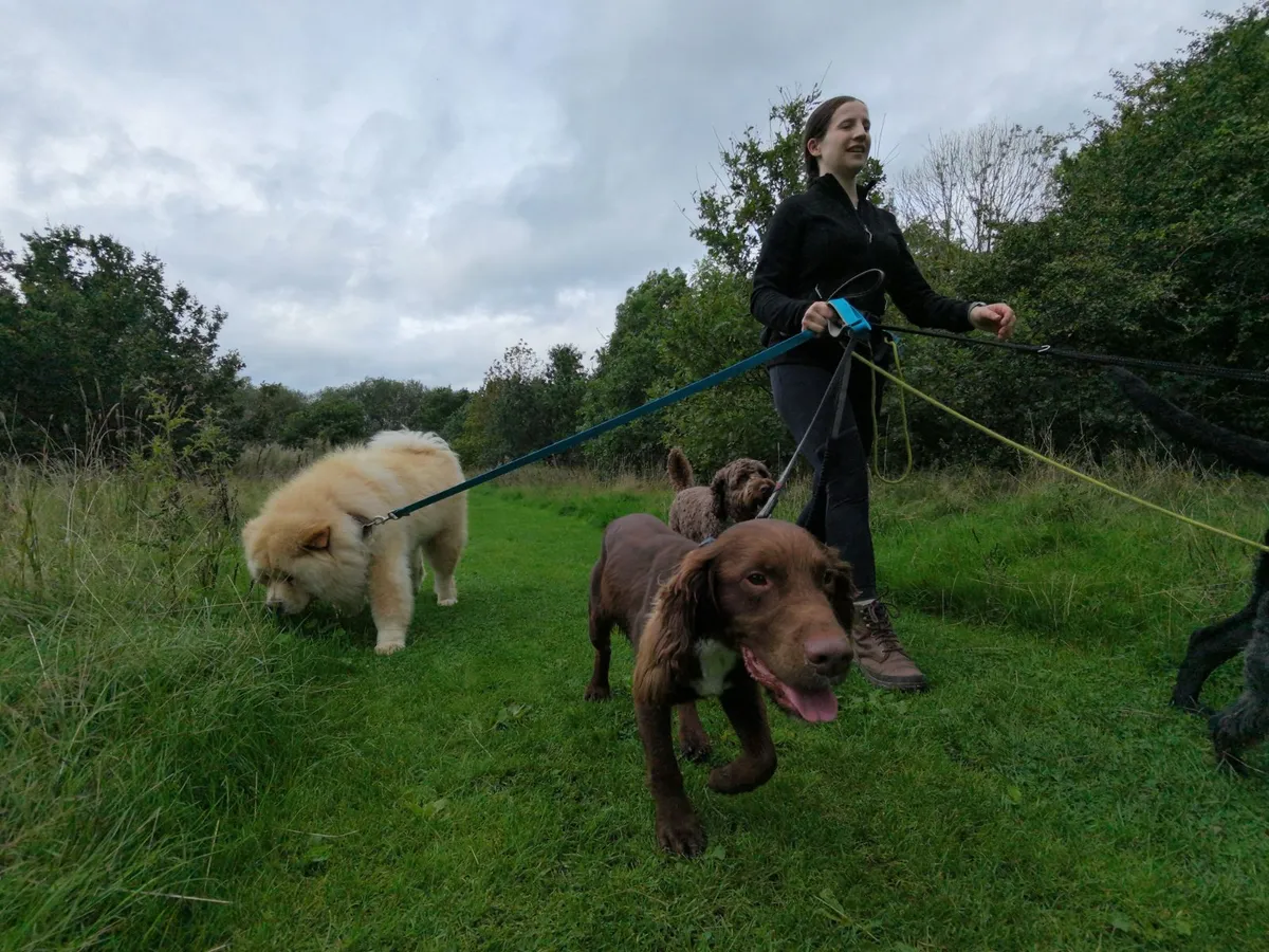 A Wagglers group walk through Cheshire countryside