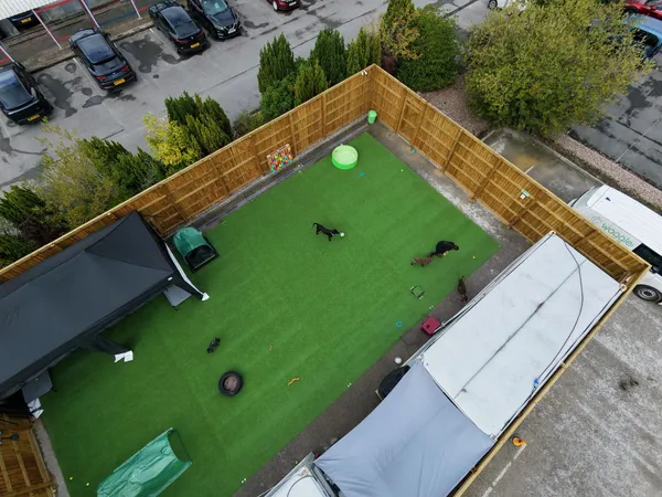 Top-down view of the daycare lawn with enrichment toys