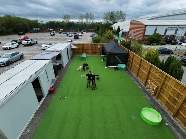 Wagglers dog walking in Wilmslow, Cheshire